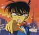 Shinichi Kudo alias Conan Edogawa löst die kniffligsten Mordfälle. 
Es gibt immer nur eine Wahrheit!